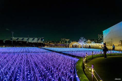 tokyo mega illumination photos|Tokyo Mega Illumination .